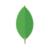 Tech Icon 2